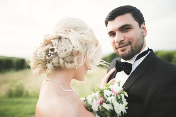 Hermosa pareja de boda, novia y novio posando en el campo durante la puesta del sol — Foto de Stock