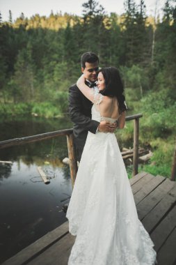 Aşk ve tutku - lake yakınındaki evli genç düğün çift öpücük