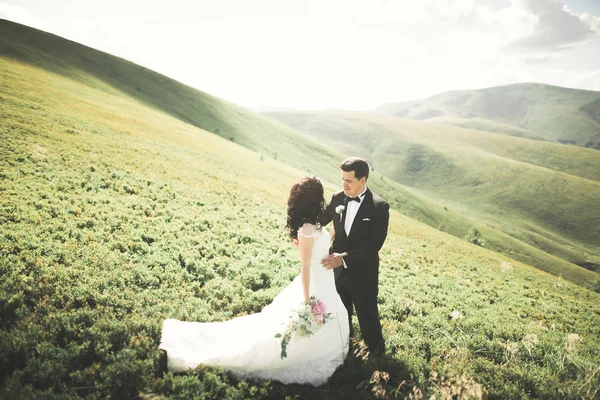 Casal de casamento beijando ficar sobre bela paisagem — Fotografia de Stock