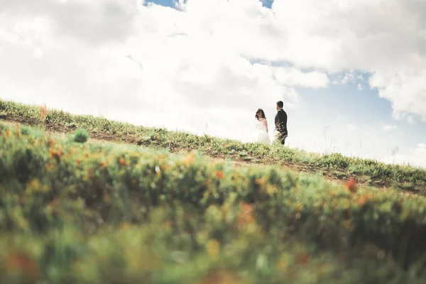 Joven pareja recién casada, novia y novio besándose, abrazándose a la vista perfecta de las montañas, cielo azul — Foto de Stock