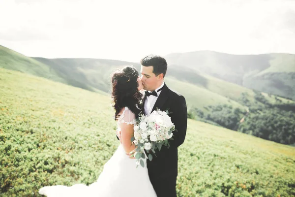 Casal de casamento beijando ficar sobre bela paisagem — Fotografia de Stock