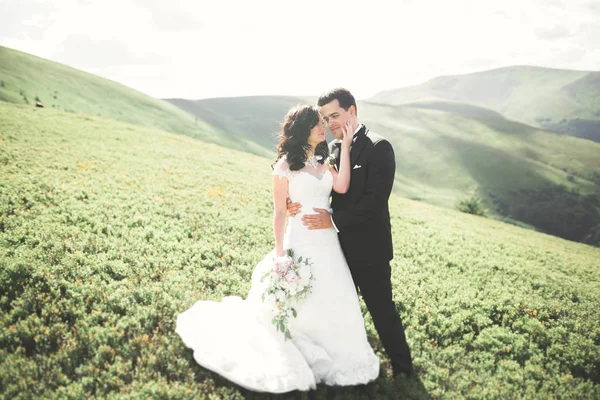 Casal de casamento bonito, noiva e noivo, apaixonado no fundo das montanhas — Fotografia de Stock