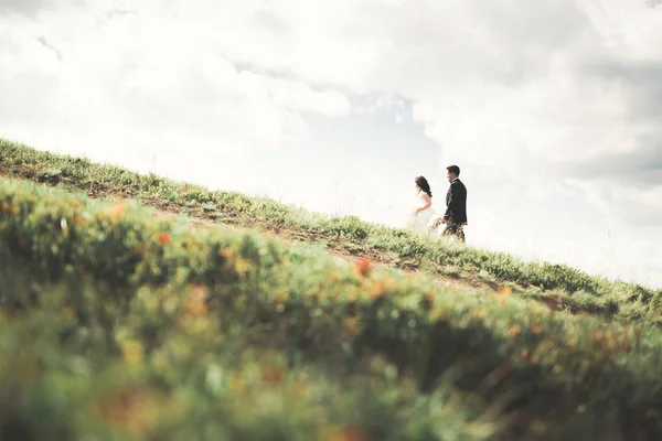 Besos boda pareja estancia sobre hermoso paisaje — Foto de Stock