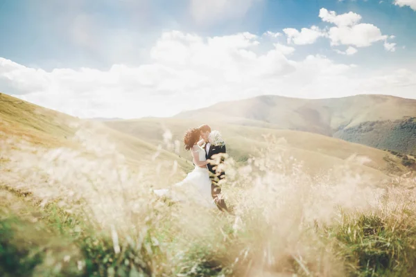 Besos boda pareja estancia sobre hermoso paisaje —  Fotos de Stock