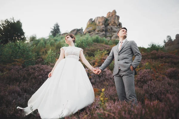 Wunderschönes Hochzeitspaar küsst und umarmt sich im Wald mit großen Felsen — Stockfoto