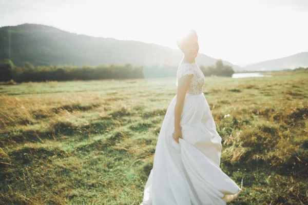 Mariée en robe de mariée posant sur l'herbe avec un beau fond de paysage — Photo