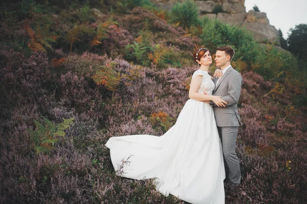 Superbe couple de mariage embrasser et embrasser dans la forêt avec de gros rochers — Photo