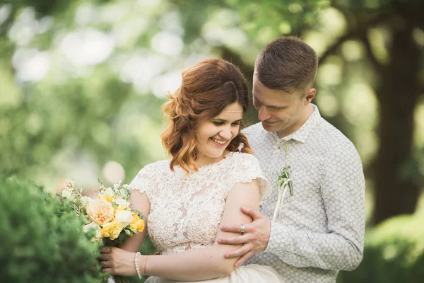 Güzel romantik bir çift yeni evliler gün batımında parkta sarılıyorlar. — Stok fotoğraf