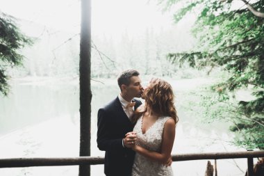 Şık şık mutlu esmer gelin ve dağlarda güzel bir nehir arka plan üzerinde muhteşem damat