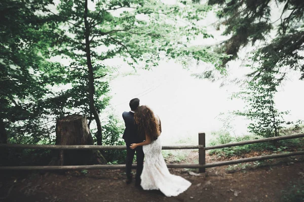 Pareja feliz boda caminando en un parque botánico —  Fotos de Stock