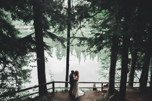 Casal feliz caminhando em um parque botânico — Fotografia de Stock