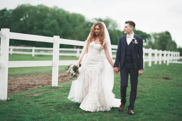 Romantik, peri masalı, mutlu yeni evli çift parkta sarılıp öpüşüyor, arka planda ağaçlar...