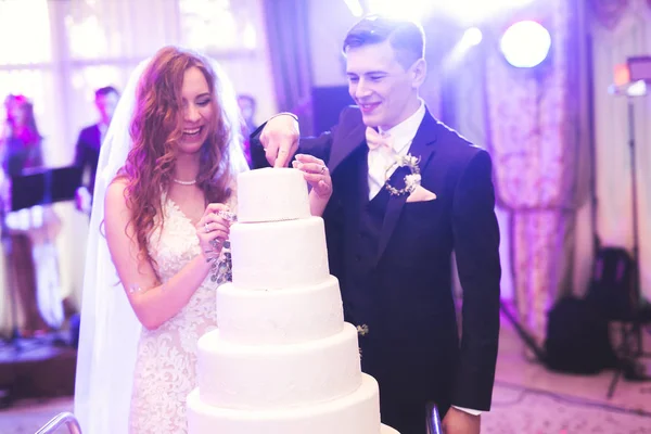 Sposo e sposo al matrimonio tagliare la torta nuziale — Foto Stock