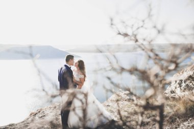 Mutlu evlilik çifti güzel manzarada kalıyor.