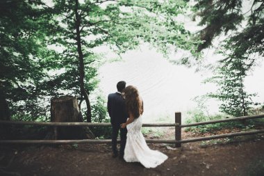 Şık şık mutlu esmer gelin ve dağlarda güzel bir nehir arka plan üzerinde muhteşem damat