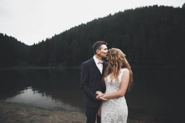 Güzel dağlarda poz veren mutlu bir düğün çifti.