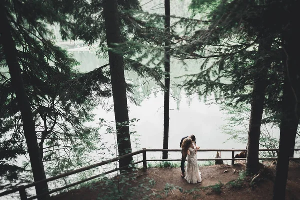 Felice coppia di nozze a piedi in un parco botanico — Foto Stock