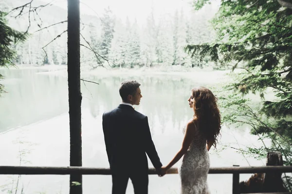 Romantique, conte de fées, couple de jeunes mariés heureux embrassant et embrassant dans un parc, arbres en arrière-plan — Photo