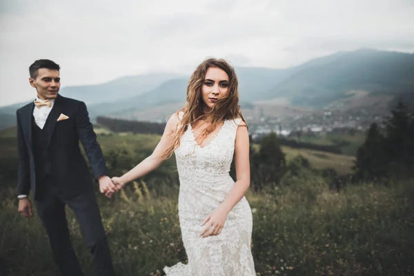 Boda pareja novia y novio de la mano — Foto de Stock