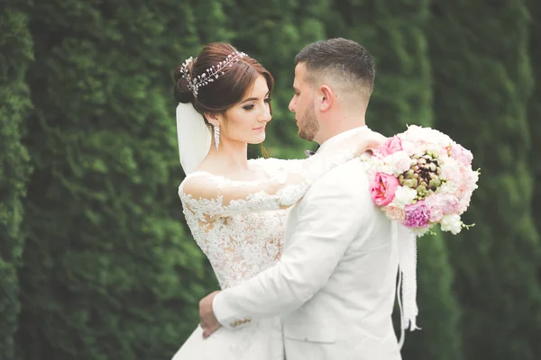 Romântico, conto de fadas, feliz casal recém-casado abraçando e beijando em um parque, árvores no fundo — Fotografia de Stock