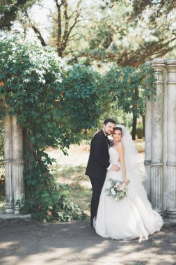 Mutlu düğün çift gelin ve damat bir botanik parkında poz