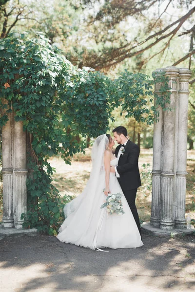 행복 한 웨딩 커플 신부와 신랑 식물 공원에서 포즈 — 스톡 사진