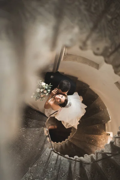 Beautiful, passionate wedding couple posing on stairs — Stock Photo, Image