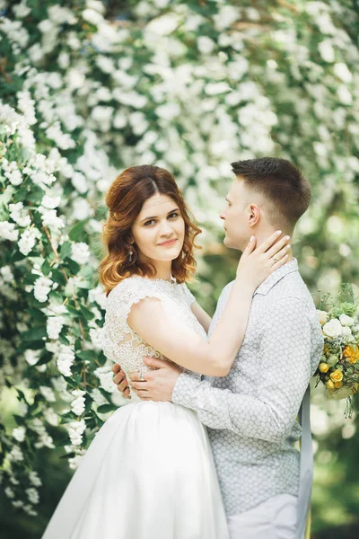 Romântico, conto de fadas, feliz casal recém-casado abraçando e beijando em um parque, árvores no fundo — Fotografia de Stock