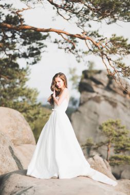 Güzel gelin kaya arka plan yakınındaki dağlarda poz