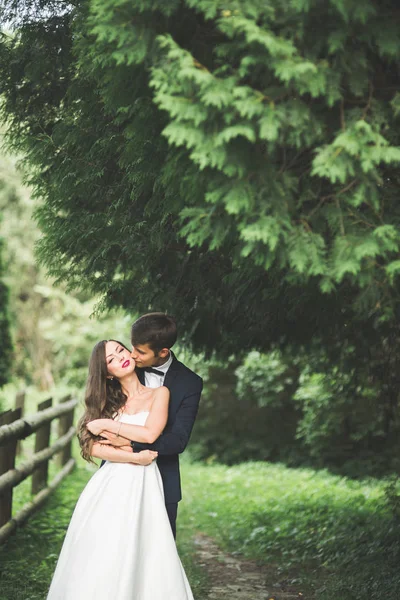Bella coppia in posa nel parco. Luna di miele appena sposata innamorata che si tiene per mano — Foto Stock