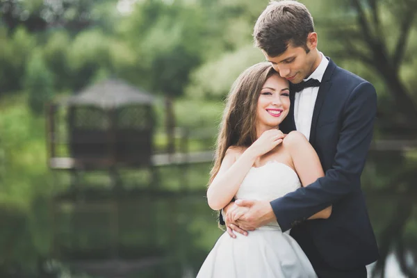 Hermosa pareja posando en el parque. Luna de miel recién casada en el amor cogida de la mano —  Fotos de Stock