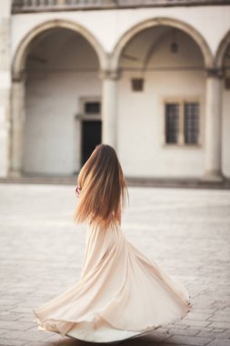 Güzel kız modeli sütunları yakınındaki eski kale poz uzun saçlı. Krakow Vavel