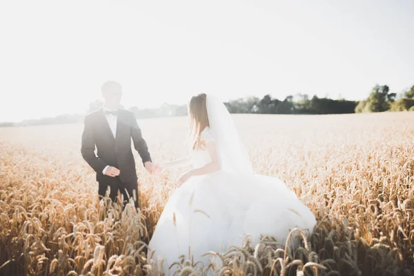 Casal lindo casamento, noiva e noivo posando no campo durante o pôr do sol — Fotografia de Stock
