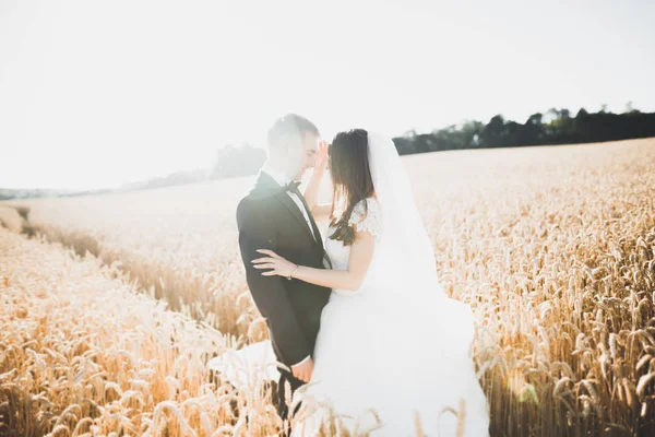 Hermosa pareja de boda, novia y novio posando en el campo durante la puesta del sol — Foto de Stock