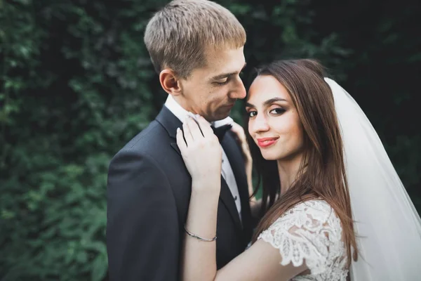 Hermosa pareja romántica de recién casados abrazándose en el parque en la puesta del sol — Foto de Stock