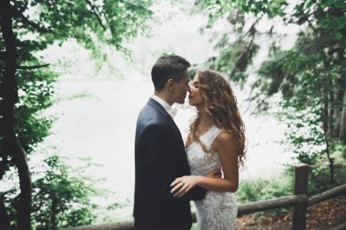 Botanik parkında yürüyen mutlu bir çift.