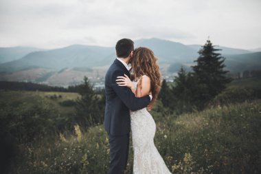 Güzel dağlarda poz veren mutlu bir düğün çifti.