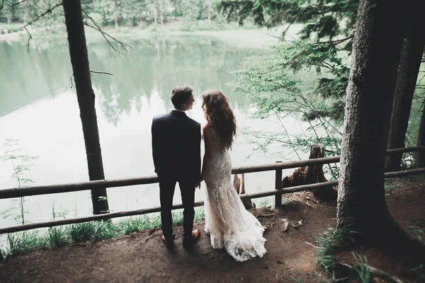 Elegante elegante novia morena feliz y hermoso novio en el fondo de un hermoso río en las montañas —  Fotos de Stock