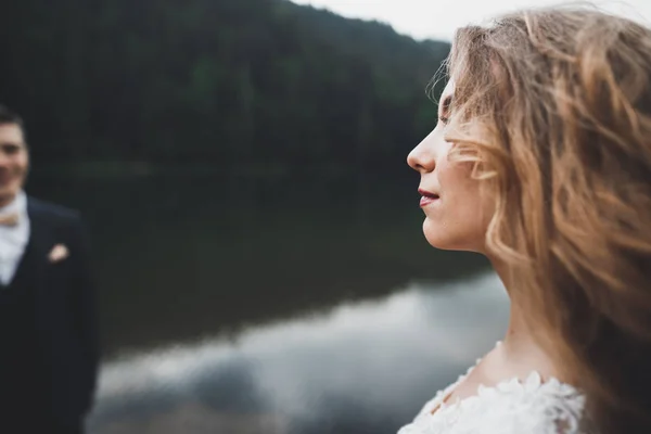 Glückliches Hochzeitspaar posiert über schöner Landschaft in den Bergen — Stockfoto