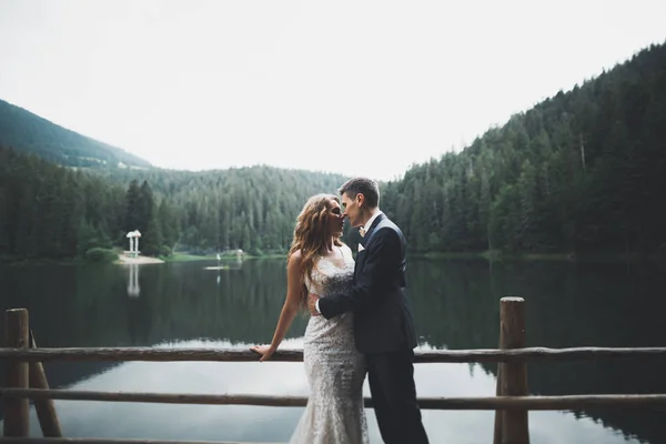 Glückliches Hochzeitspaar posiert über schöner Landschaft in den Bergen — Stockfoto