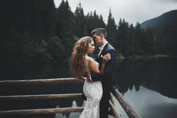 Glückliches Hochzeitspaar posiert über schöner Landschaft in den Bergen — Stockfoto