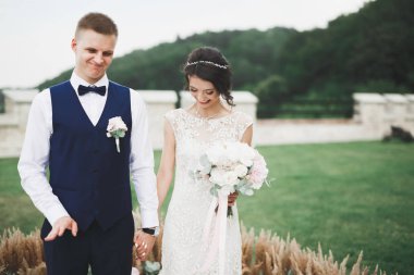 Lüks evli çift, gelin ve damat eski şehirde poz veriyor.