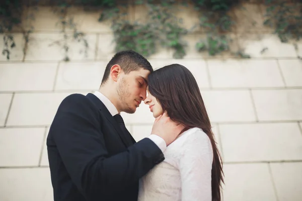 Maravillosa pareja de boda de lujo posando cerca de gran pared — Foto de Stock