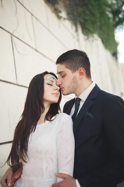 Maravillosa pareja de boda de lujo posando cerca de gran pared —  Fotos de Stock