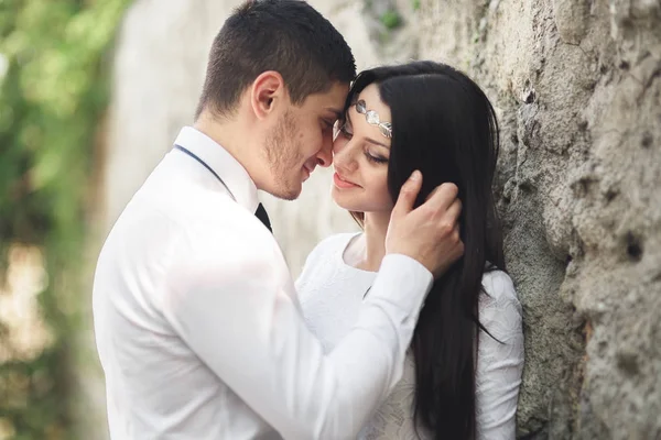 Lindo recém-casado posando perto de bela parede de plantas arbustos árvores em seu dia do casamento — Fotografia de Stock