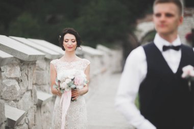 Mükemmel bir çift gelin ve damat düğün günlerinde poz verip öpüşürler.