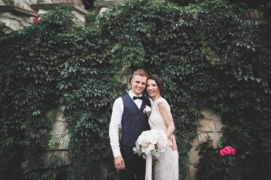 Botanik parkında yürüyen mutlu bir çift.