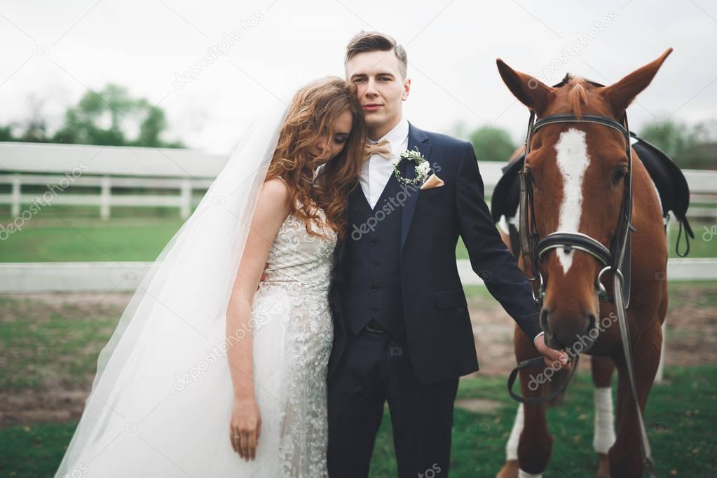 Bride and groom in forest with horses. Wedding couple. Beautiful portrait in nature