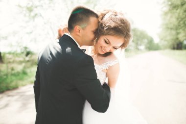 Romantik, peri masalı, mutlu yeni evli çift parkta sarılıp öpüşüyor, arka planda ağaçlar...