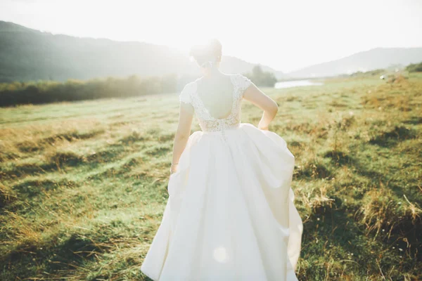 Novia en vestido de novia posando sobre hierba con hermoso paisaje de fondo —  Fotos de Stock